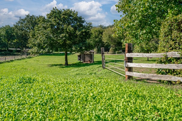 Medium property photo - Zevenaarer Straße 200, 46446 Emmerich am Rhein